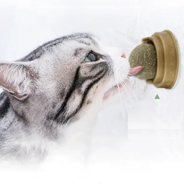 Котяча іграшка для кішок м'ятна кулька котячий льодяник