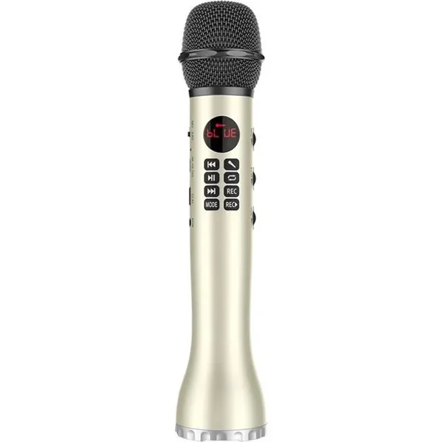 Бездротовий мікрофон караоке MicMagic L-598 9 Вт